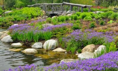 3 Beautiful Garden Spaces for an Unforgettable Picnic in Yaoundé (2025 Guide)