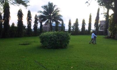 Espace Jardin- Hotel Sawa