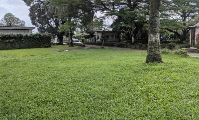 Espace Jardin CAFRAD Bonaberi