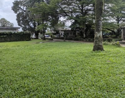 Espace Jardin CAFRAD Bonaberi