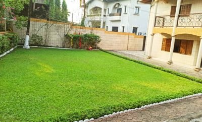 Garden Space – Palm Garden