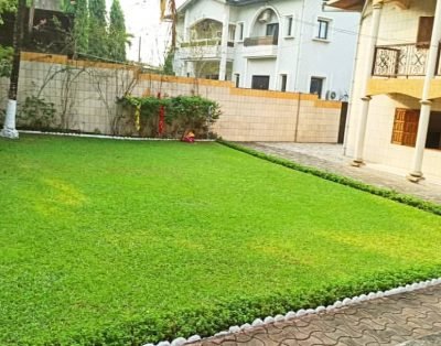 Garden Space – Palm Garden