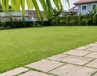 Hapyness Garden Douala